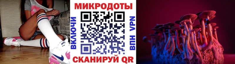 Псилоцибиновые грибы Magic Shrooms Безенчук